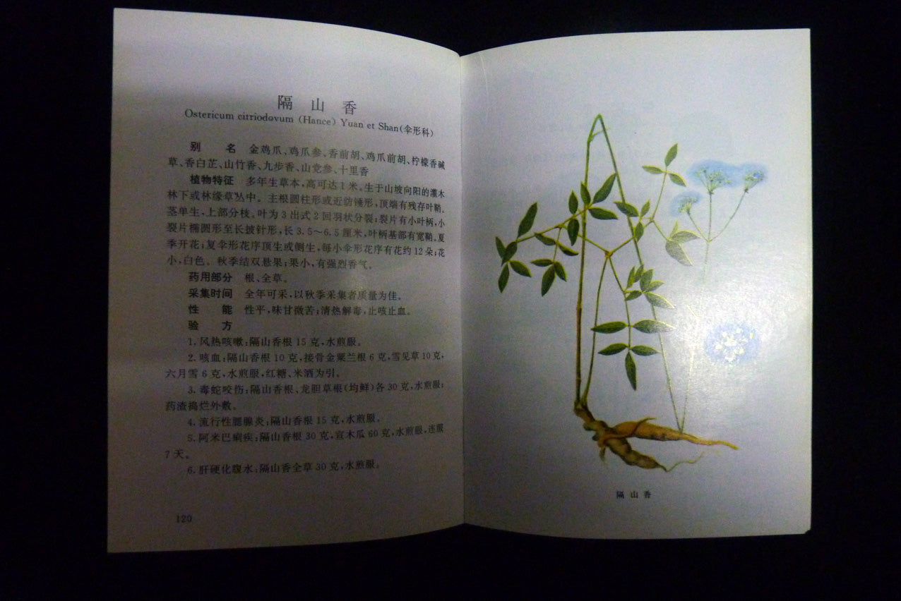 Kräuter-Lexikon auf Chinesisch