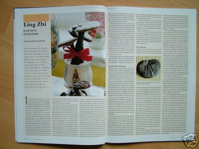 Ling Zhi - Geschichte, Wirkung, Anwendung, Sorten